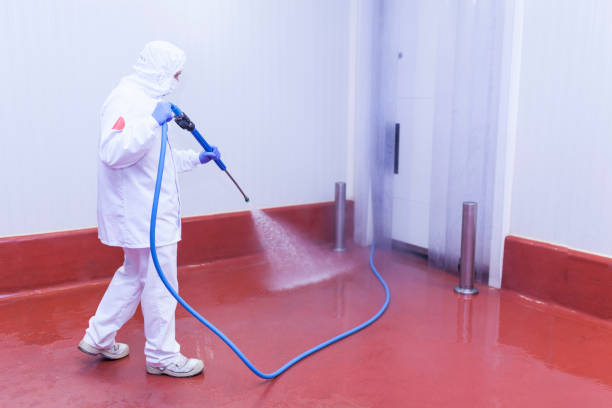 Best Roof Washing  in Loch Sheldrake, NY
